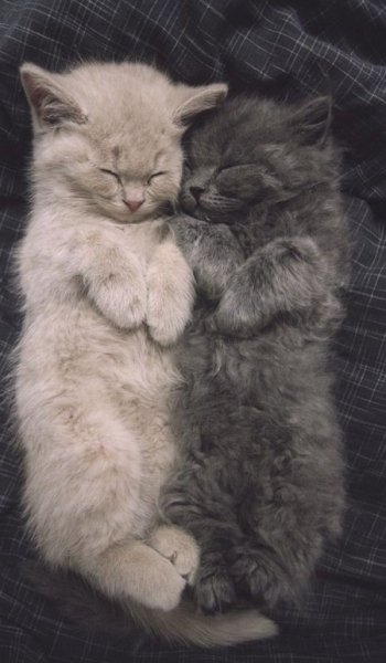  تصویر زمینه مشکی دخترانه خفن