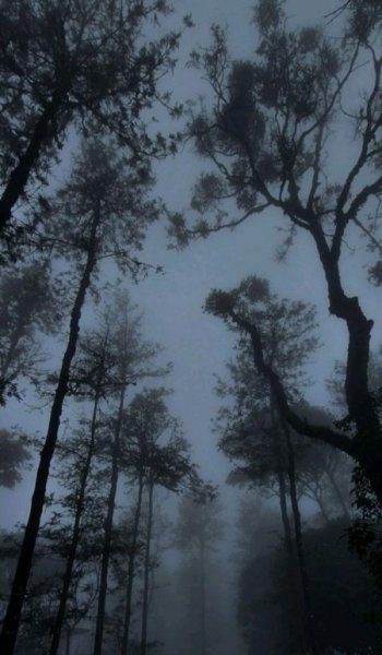  تصویر زمینه مشکی خفن