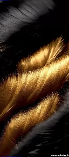  تصویر زمینه مشکی طلایی