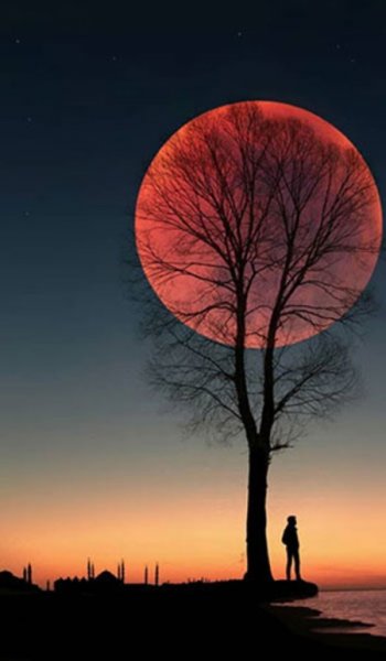  عکس های پس زمینه شب