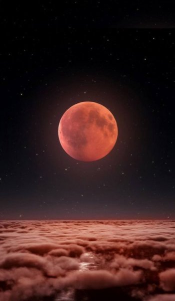  عکس های پس زمینه شب