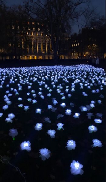  عکس های پس زمینه شب