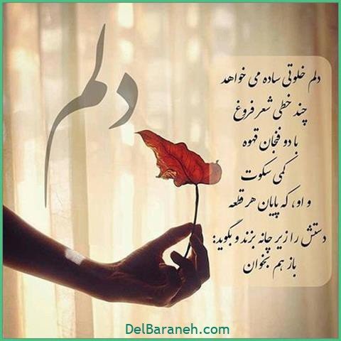  عکس اس ام اس عاشقانه بدون سانسور