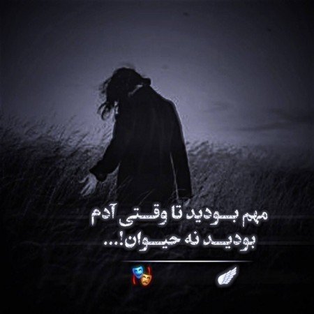  عکس حیوانات اهلی زیبا