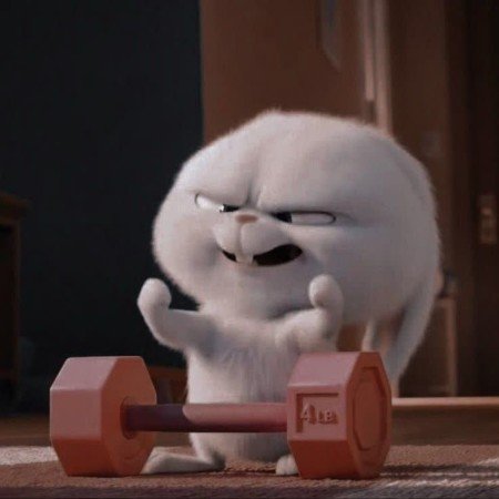  عکس حیوانات اهلی زیبا