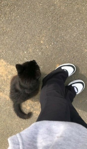  عکس حیوانات بسیار زیبا