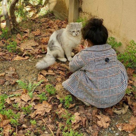  عکس حیوانات بسیار زیبا