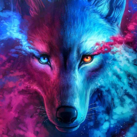  عکس حیوانات بسیار زیبا