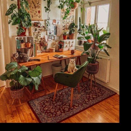  عکس حیوانات بسیار زیبا