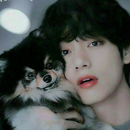  عکس حیوانات بسیار زیبا