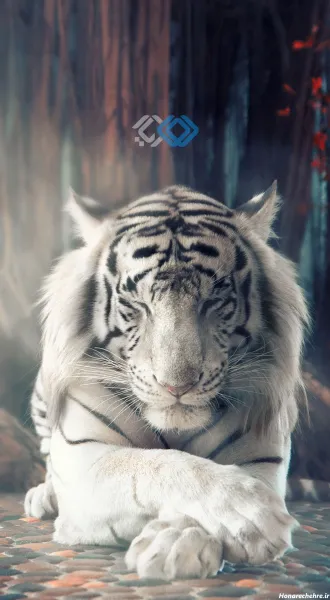  عکس حیوانات واقعی