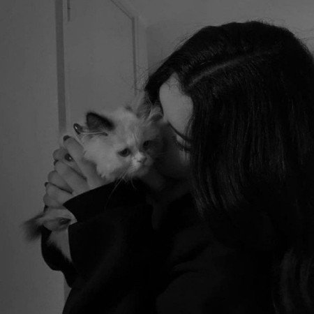  عکس حیوانات زیبا و بامزه