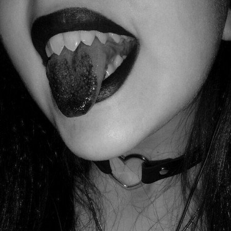  عکس های شاخ