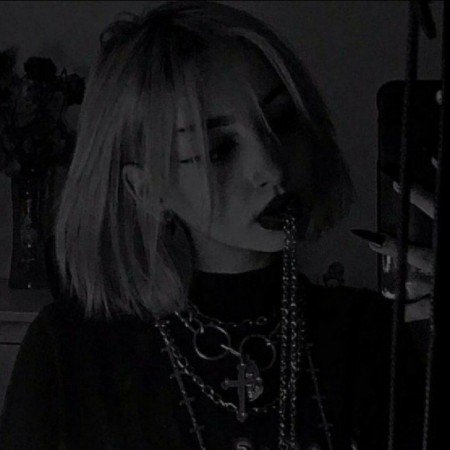  عکس های شاخ