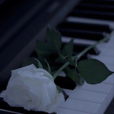  عکس های موسیقی