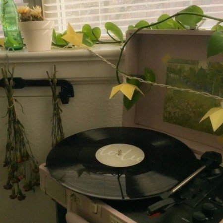  عکس های موسیقی