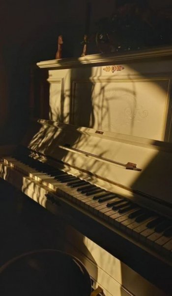  عکس های موسیقی