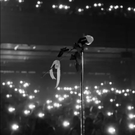  عکس های موسیقی