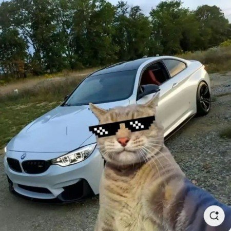  عکس های BMW  بی ام و