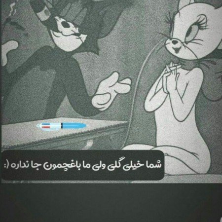  عکس های BMW  بی ام و