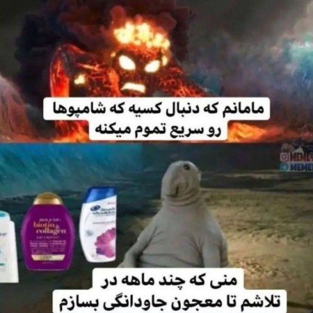  عکس های خانواده