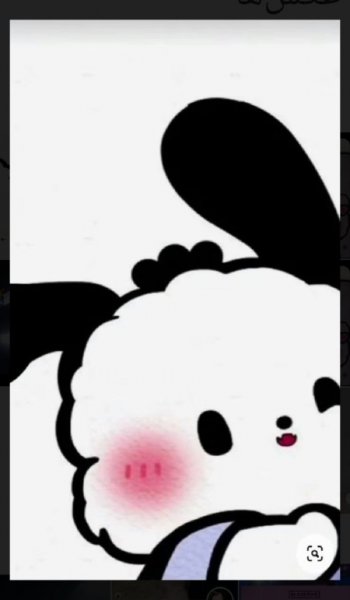  عکس های پس زمینه ست