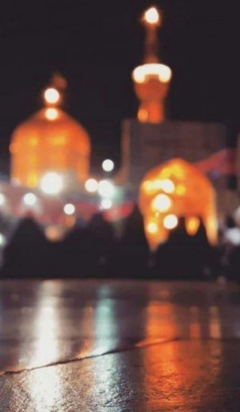  عکس های حرم امام رضا