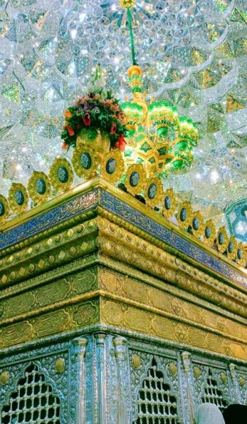  عکس های حرم امام رضا