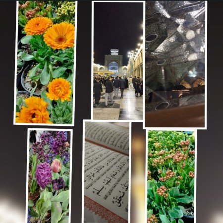  عکس های حرم امام رضا