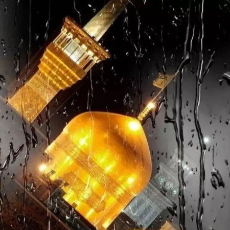  عکس های حرم امام رضا