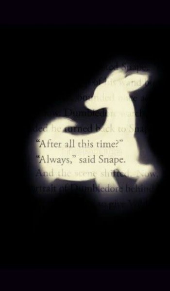  عکس های هری پاتر