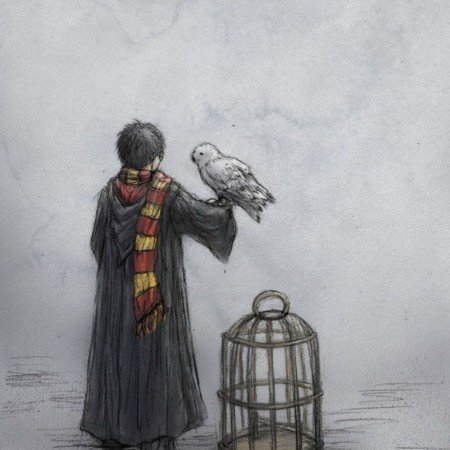  عکس های هری پاتر