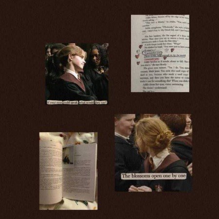  عکس های هری پاتر