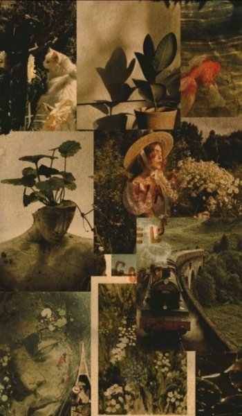  عکس های بک گراند دخترانه