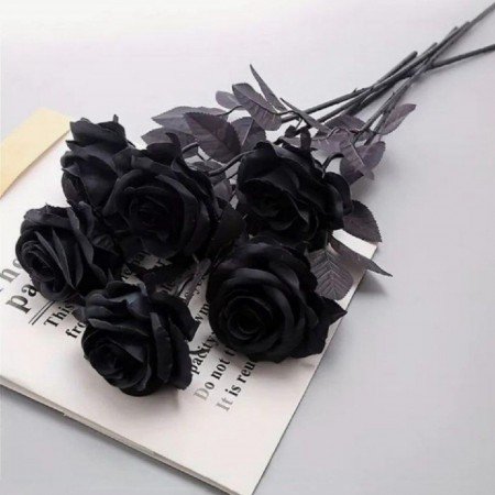  عکس های درسی