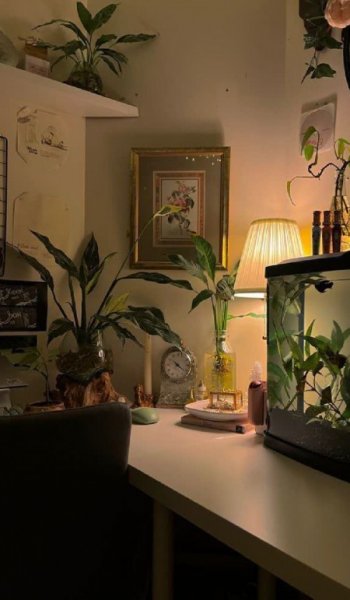  عکس های درسی