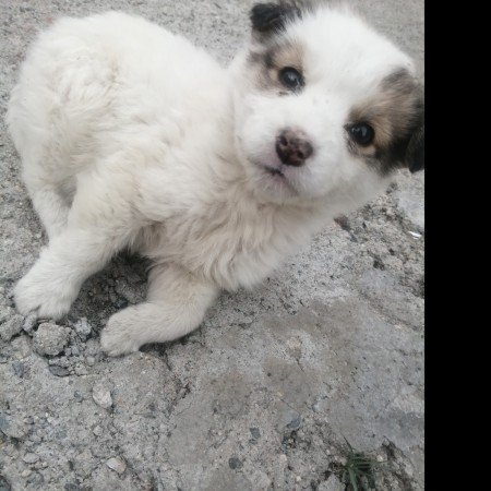  عکس های زیبا