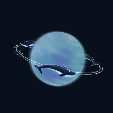  عکس های زیبا