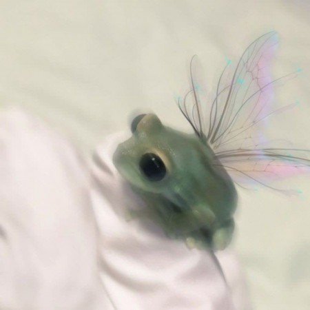  عکس های زیبا