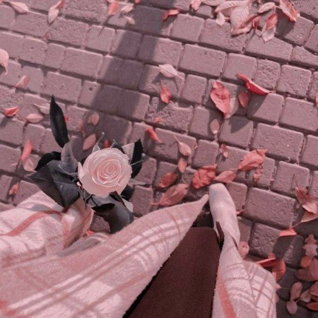  عکس های زیبا