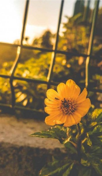  عکس های زیبا