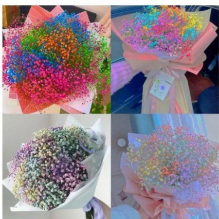  عکس های زیبا