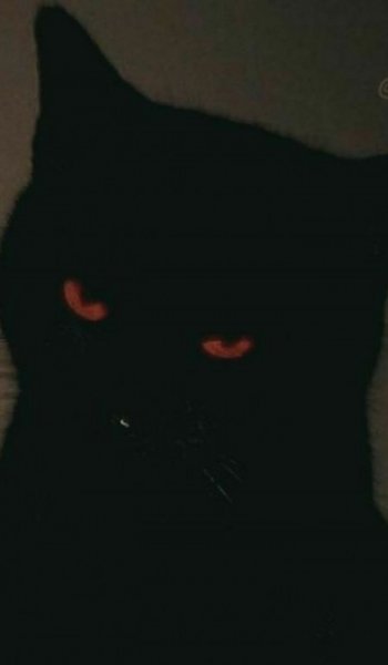  عکس های زیبا