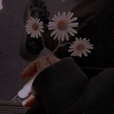  عکس های عاشقانه پروف