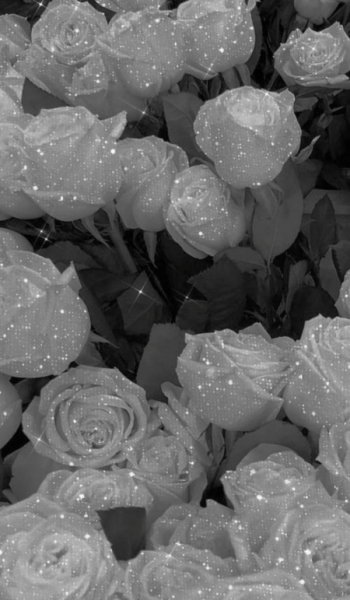  عکس های پس زمینه گل