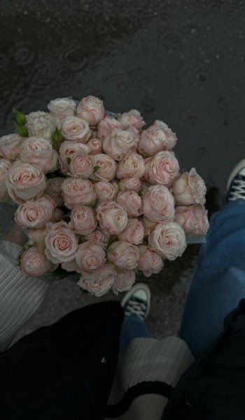  عکس های پس زمینه گل