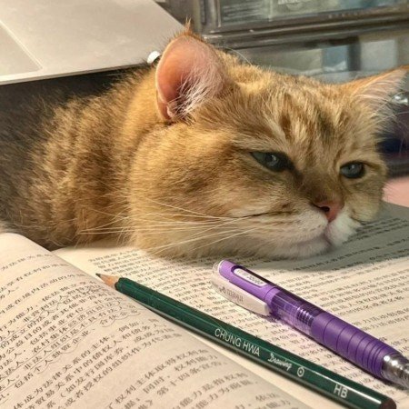  عکس های انگیزشی