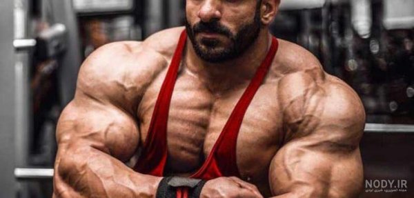  عکس سیکس پک