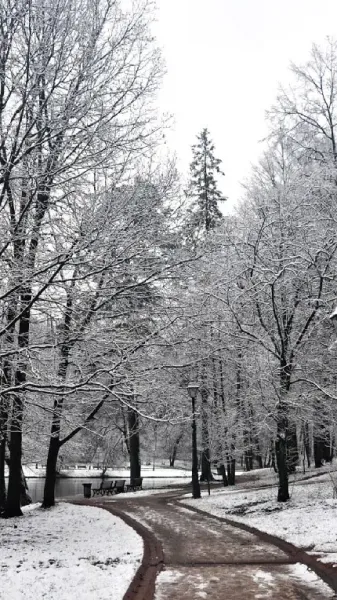  عکس جاده شمال