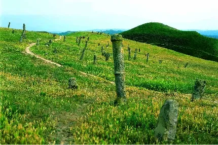  عکس جاده شمال